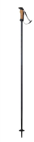 Elan Speedrod - black 120 cm - Ski Poles - Main image