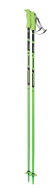 Elan Hotrod - green 115 cm - Ski Poles