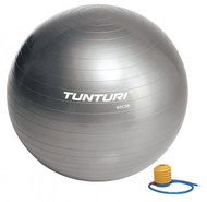 Tunturi Gymnastics ball, 65 cm, silver - Gym Ball