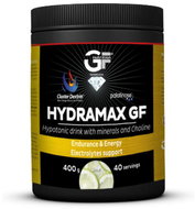 Hydramax GF 400 grams - lime - Ionic Drink