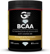 BCAA – 500 kapsúl - Aminokyseliny