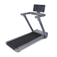 UltraRun Treadmill 3100 - Treadmill