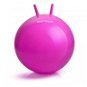 MTR Fitness míč na skákání 65 cm, různé barvy - Gym Ball