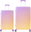 Case Set MR4673 Yellow / Purple