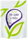 Powdered Edam Cheese 150g