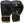 Black / gold