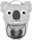 – Koala