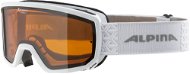 Alpina Scarabeo S black - Ski Goggles