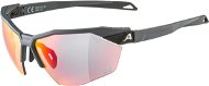 Alpina Twist SIX HR QV midnight-grey matt - Cycling Glasses