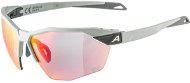 Alpina Twist SIX HR QV smoke-grey matt - Kerékpáros szemüveg