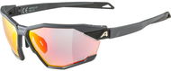 Alpina Twist SIX QV midnight-grey matt - Cycling Glasses