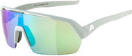 Alpina Turbo HR smoke-grey matt - Cycling Glasses