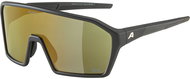 Alpina RAM Q-Lite black matt, green - Cycling Glasses