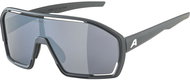 Alpina Bonfire midnight-grey matt - Cycling Glasses