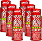 Amix Nutrition Xfat 2 in 1 Shot, 6 x 60ml, fruity - Sportovní nápoj