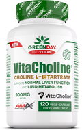 Amix Nutrition Choline Bitartrate VitaCholine 120 capsules - Dietary Supplement