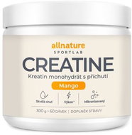 Allnature Sportlab Creatine monohydrate mango 300 g - Creatine