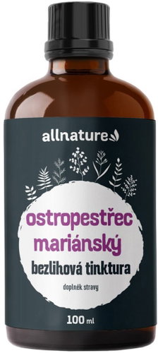 Allnature Milk Thistle Alcohol-Free Tincture 100ml - Dietary Supplement - Main image