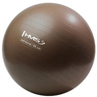 HMS YM02 65 cm bronze - Gym Ball