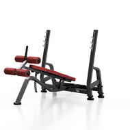 MARBO MP-L208 under the big dumbbell - Fitness Bench
