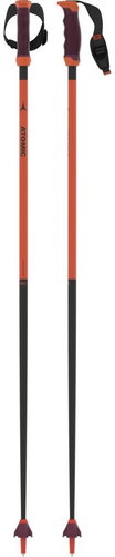 Atomic Redster Carbon SQS 125 cm - Ski Poles - Main image