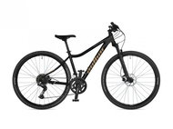 AUTHOR Codex ASL - 15" grey/gold/black - Cross Bike