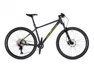 AUTHOR Context 2025 - 21" silver/matt/alloy - Mountain Bike