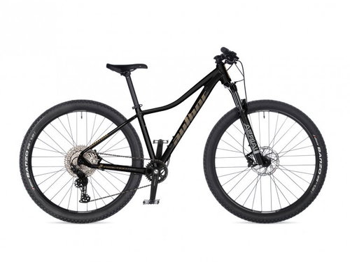 AUTHOR Traction ASL 2026 - 16", black/gold - Mountain Bike - Main image