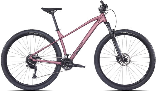 ROCK MACHINE Catt 40 2025 - M, matt jasper brown - Mountain Bike - Main image
