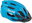 Inmold Blue