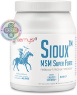 Barnys SIOUX MSM super forte 600 g - Joint Nutrition