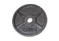 FitnessLine Cast iron disc 30 mm - 2,5 kg - Gym Weight