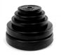 FitnessLine Kotouč s cementovou náplní 30 mm - Závaží na činky
