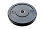 FitnessLine Kotouč Bumper Plate - Závaží na činky
