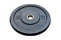 FitnessLine Bumper Plate - 10 kg - Gym Weight
