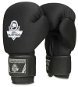 Boxing Gloves DBX-B-W EVERCLEAN 10 OZ BOXING GLOVES DBX BUSHIDO - Boxerské rukavice