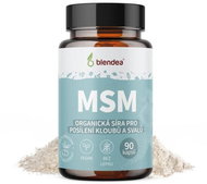 Blendea MSM, 90 capsules - Joint Nutrition