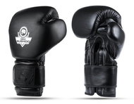 DBX BUSHIDO Boxing Gloves 12 CZ DBX B-ProFight - Boxing Gloves