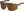 Sports Sunglasses Gain AT108V
