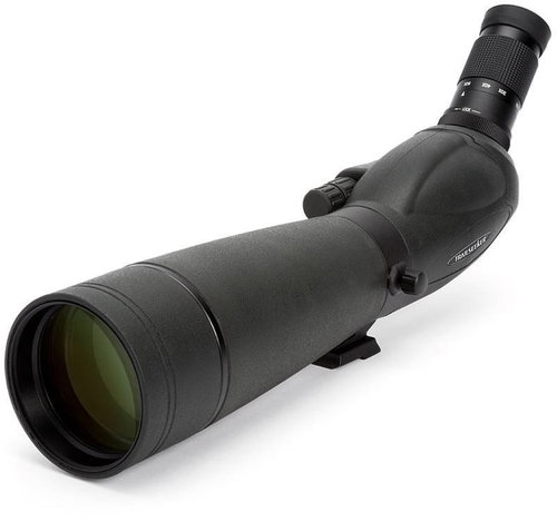 Celestron TrailSeeker 20-60×80, angled - Binoculars - Main image