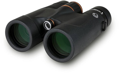 Celestron Regal ED 10×42cm - Binoculars - Main image