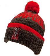 Fan-shop cap LIVERPOOL FC Ski grey - Winter Hat
