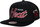 Team Script 2.0 Snapback cap for men