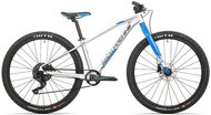 Rock Machine Thunder 27 HD LTD silver/blue - Children's Bike