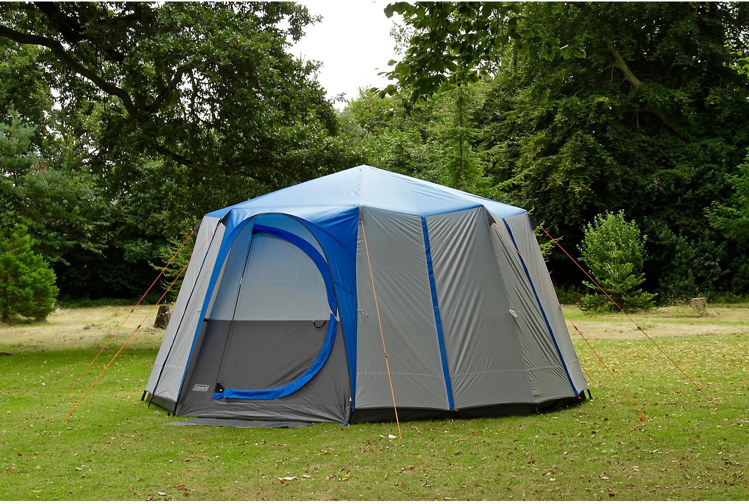 Coleman festival hotsell octagon tent