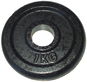 KUBIsport Kotouč litina 1 kg - 25 mm - Závaží na činky