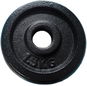 KUBIsport Kotouč litina  1,5 kg - 25 mm - Závaží na činky