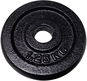 KUBIsport Kotouč litina 1,25 kg - 30 mm - Závaží na činky