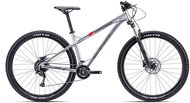 CTM ZEPHYR 29“ Glossy Aluminium Size XL (22“) - Mountain Bike