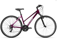 Cyclision Zodya 5 MK-II L 480 mm 19" Dark Orchid - Trekking Bike